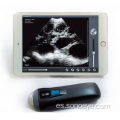Escáner de ultrasonido usado veterinario de mano